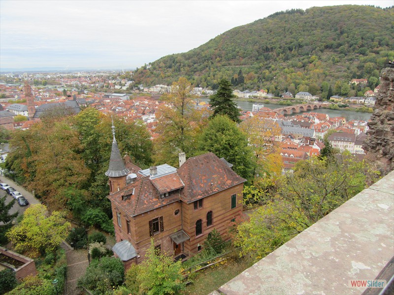 25 Heidelberg from Castle